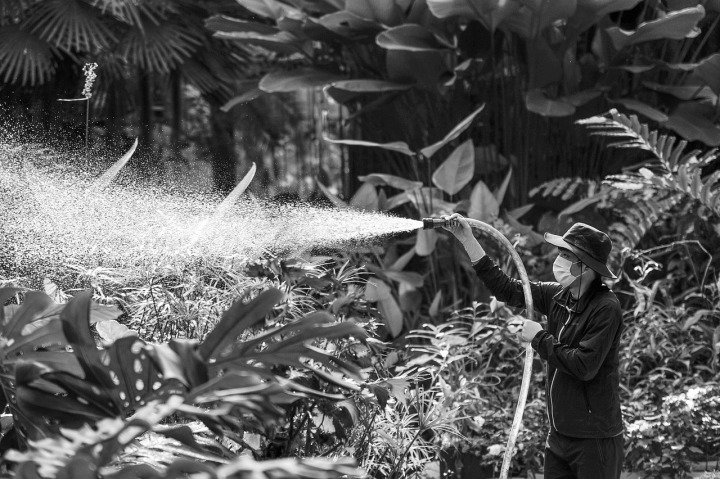 garden sprayer irrigation